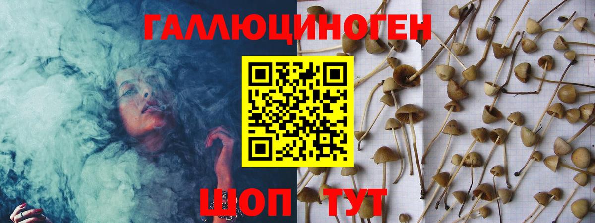 Россия  Галлюциногенные грибы Cubensis  Псилоцибиновые грибы ЛСД  Вход с VPN 
